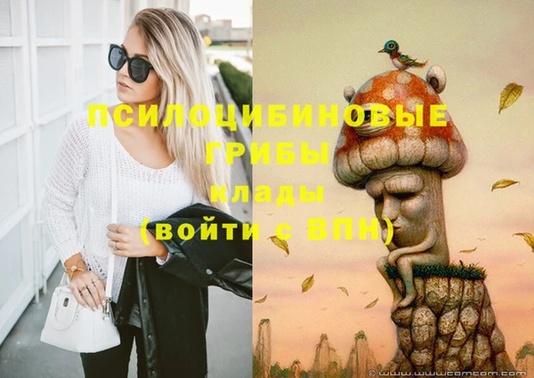 гашик Бронницы