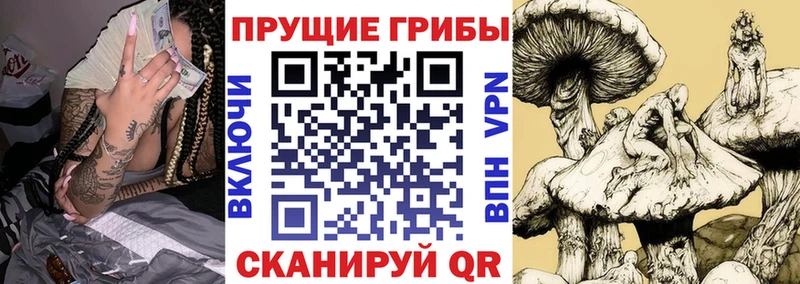 Псилоцибиновые грибы GOLDEN TEACHER  Купить где  Ливны 