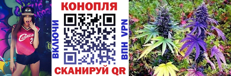 Купить где  Ливны  Бошки Шишки MAZAR 